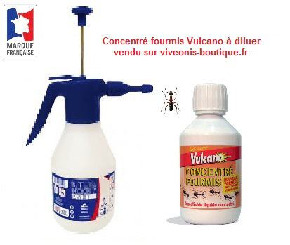 Concentré anti-fourmis C.E. 250 ml Vulcano vendu sur viveonis-boutique.fr en situation pour être diluer et pulvériser avec alto5