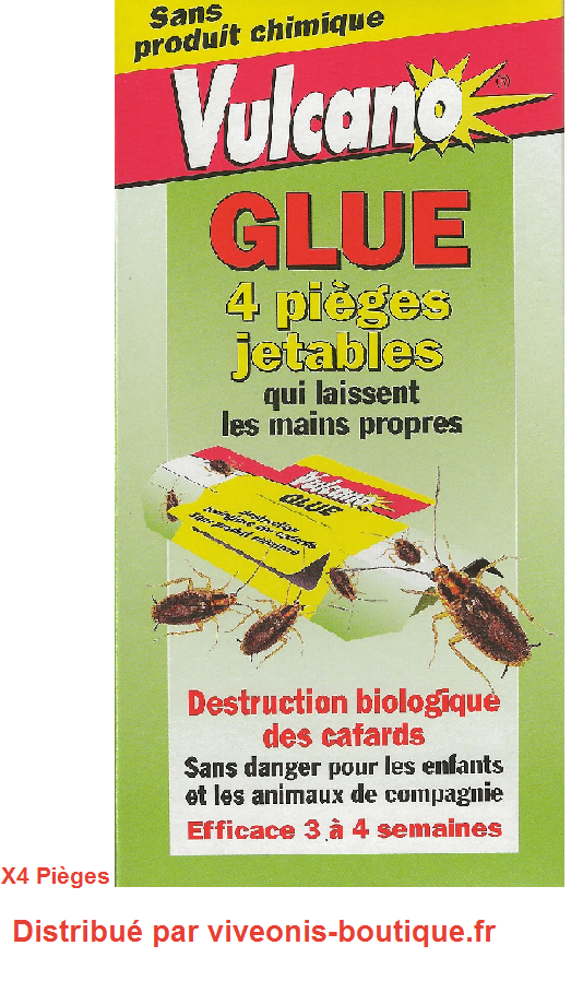 GLUE anti-cafards blattes cancrelats lot de 4 pièges jetables