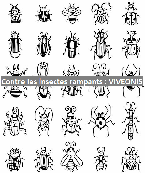 Pièges anti-insectes Rampants