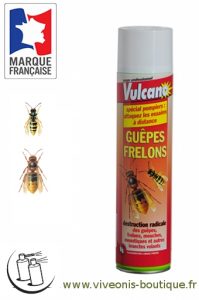 Insecticide Anti-GUEPES aerosol 600ml