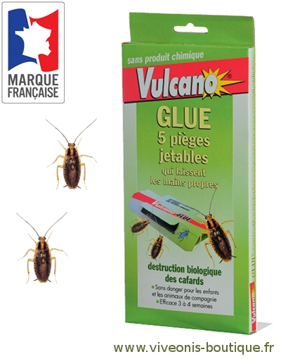 GLUE anti-cafards blattes cancrelats lot de 4 pièges jetables Vulcano -  Viveonis boutique