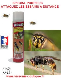 Anti-guêpes & frelons - PROTECT EXPERT - GUEP600N - 600 ml - Jet longue