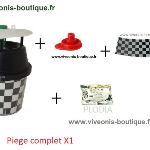 GLUE anti-cafards blattes cancrelats lot de 4 pièges jetables Vulcano -  Viveonis boutique