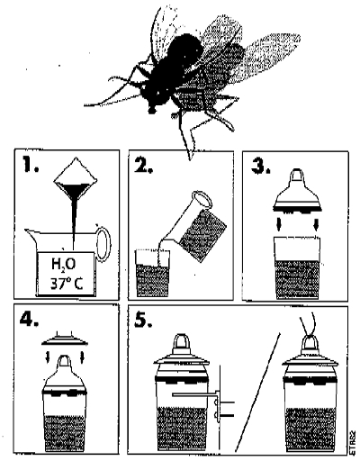 Comment fabriquer un piège attrape mouches ?