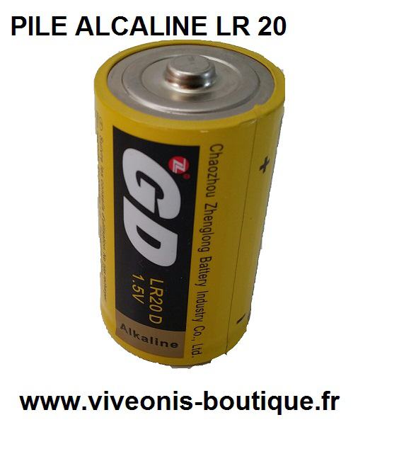 Pile Alcaline LR 20 D 1.5V - Viveonis boutique