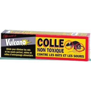 Les Pieges anti-souris