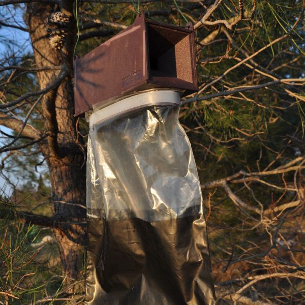 Trampa G piège à féromone pour lutter contre les papillons des chenilles processionnaires