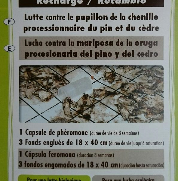 Mouch'clac Processionnaire Recharge pour lutter contre le papillon de la chenille processionnaire du pin et du cèdre