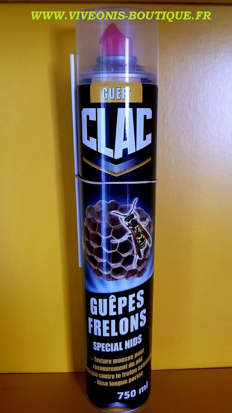 Aérosol Guêpes & Frelons - Longue Portée 4 M, 750 Ml | Pour Détruire Les Nids En Sécurité - Toiture, Combles, Jardin