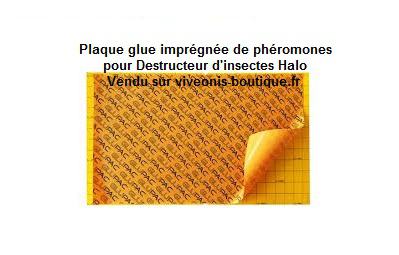 Plaques Glue pour HALO GB011