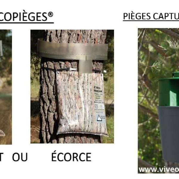 Pièges et Ecopièges à chenilles processionnaires