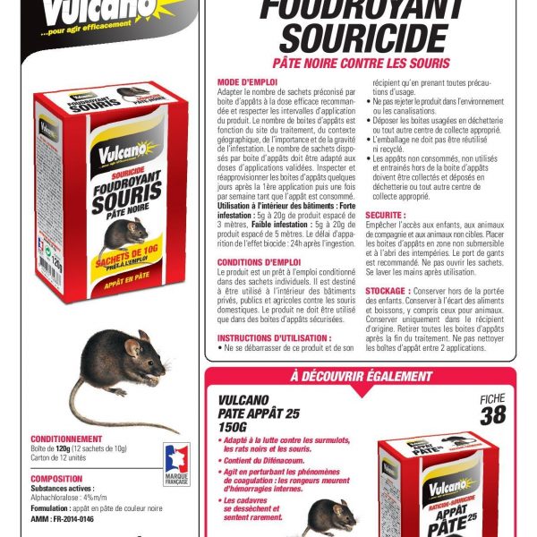 VULCANO FOUDROYANT SOURIS Pâte fraiche à capsules actives - Viveonis  boutique