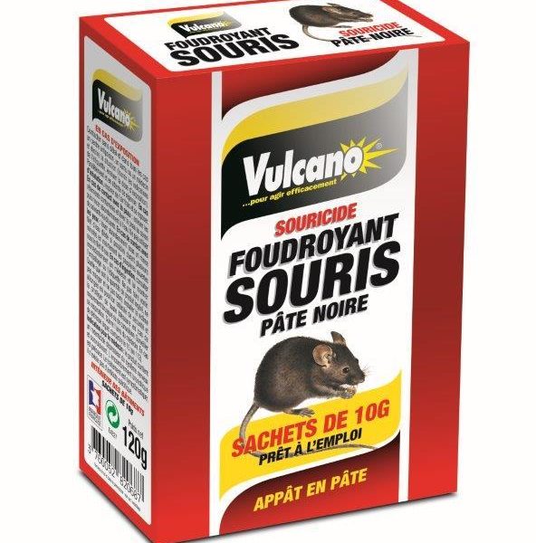 VULCANO FOUDROYANT SOURIS Pâte fraiche à capsules actives