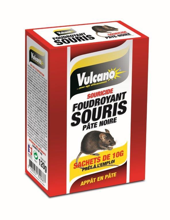 VULCANO FOUDROYANT SOURIS Pâte fraiche à capsules actives